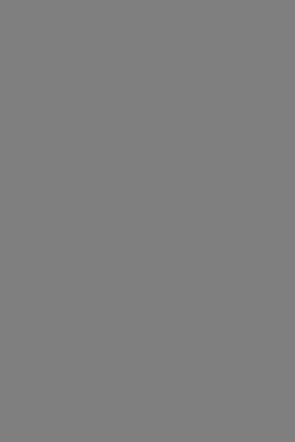 Minimalist Solid Gray Background Image for Web Design and Graphic Projects - Clean, Neutral, and Professional Blank Canvas for Layouts and Digital Art