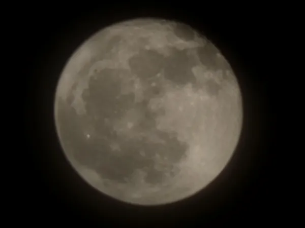 Lunar Night Contemplation