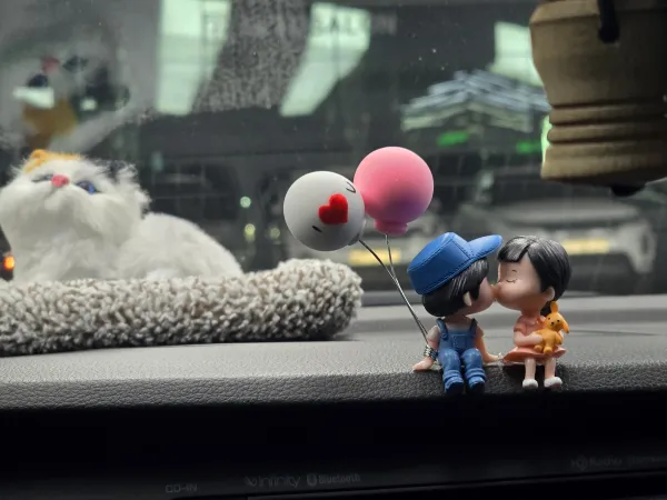 Whimsical Romance on Dashboard