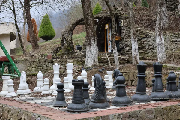 Serene Garden Chess