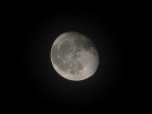 Serene Lunar Night