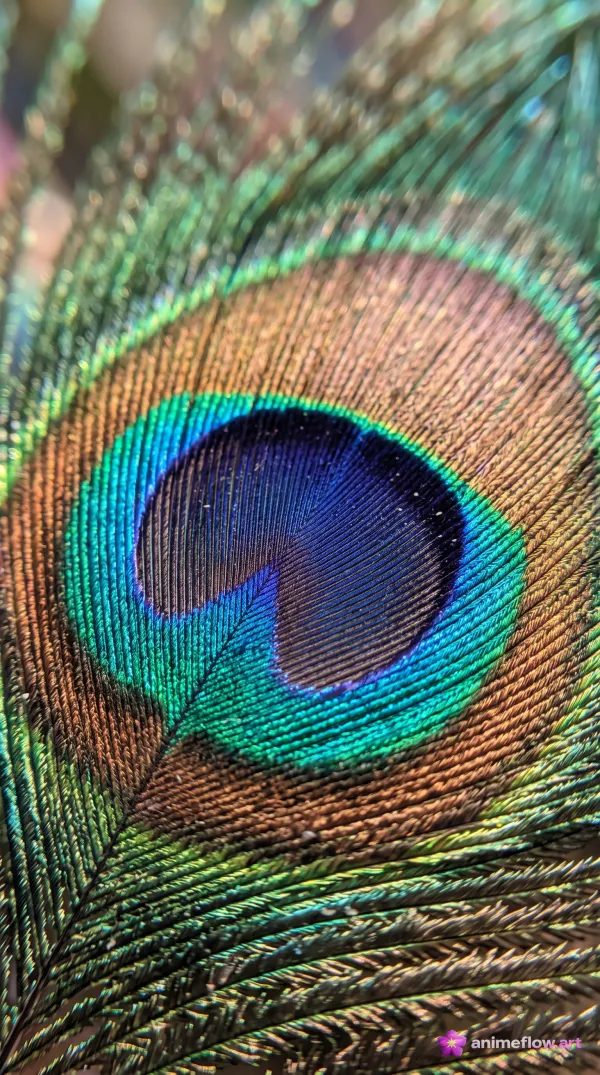 Iridescent Peacock Eye Macro